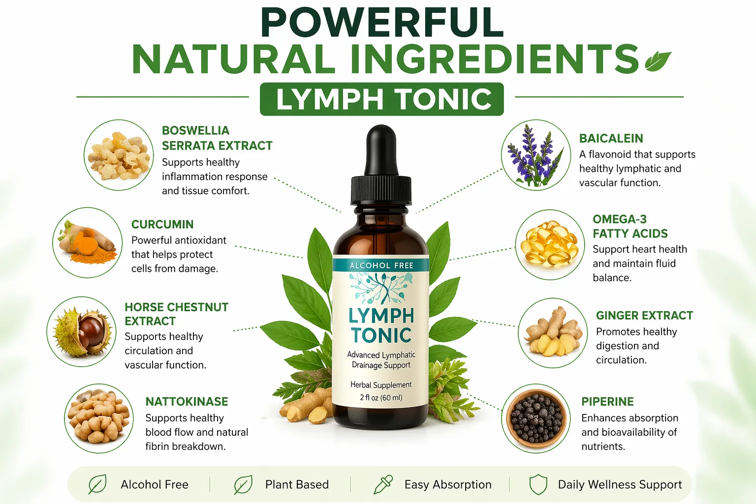 Mobirise WebsiteLymph Tonic ingredients breakdown Natural supplement facts for lymphatic drainage, heart health, and digestive support. Builder